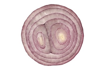 Image showing Cut onion on white