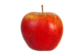 Image showing Red apple on white