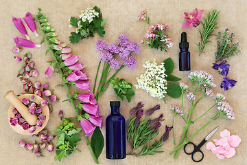 Image showing Preparing Medicinal Flowers and Herbs