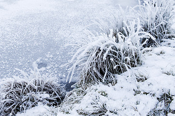 Image showing Wintertime with snow and hoar frost