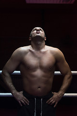 Image showing portrait of muscular professional kickboxer