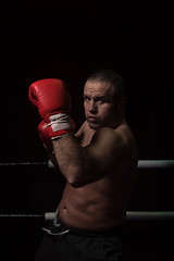 Image showing professional kickboxer in the training ring