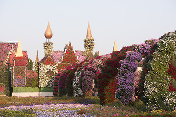 Image showing Dubai miracle garden