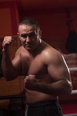 Image showing professional kickboxer in the training ring