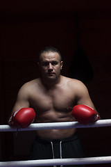 Image showing portrait of muscular professional kickboxer