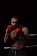 Image showing professional kickboxer in the training ring