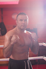 Image showing professional kickboxer in the training ring