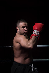 Image showing professional kickboxer in the training ring