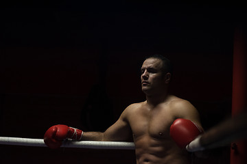 Image showing kick boxer resting on the ropes in the corner