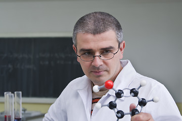 Image showing Researcher