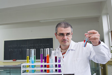 Image showing Doing an experiment