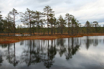 Image showing Bog lakes