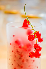 Image showing Fresh red currants in glass