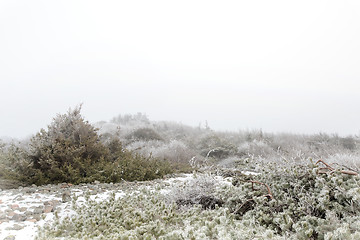 Image showing Foggy winter landscape