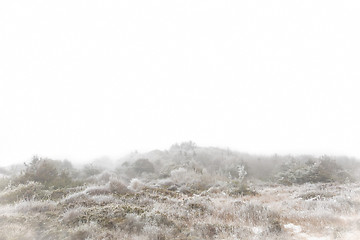 Image showing Foggy winter landscape