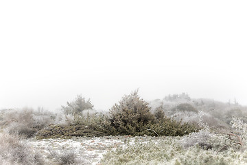 Image showing Foggy winter landscape