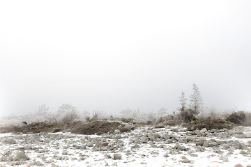 Image showing Foggy winter landscape