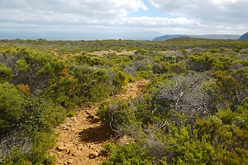 Image showing Landscape in Tasmania