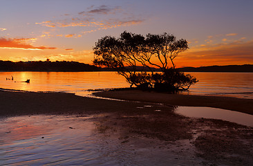 Image showing Sunset Salamander Bay