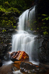 Image showing Tranquil waterfall idyllic Blue Mountains