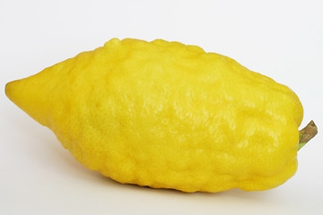 Image showing Jewish Citron