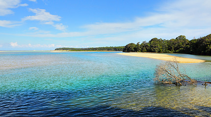 Image showing Mallacoota Inlet