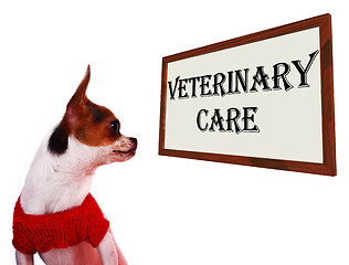 Image showing Veterinary Care Sign Showing Pet Clinic Or Hospital