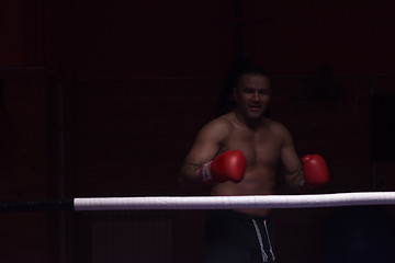 Image showing portrait of muscular professional kickboxer