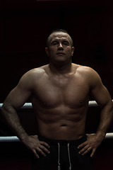 Image showing portrait of muscular professional kickboxer