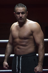 Image showing portrait of muscular professional kickboxer