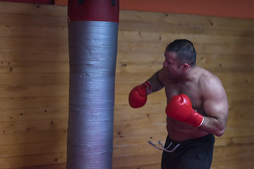 Image showing kick boxer training on a punching bag