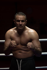 Image showing professional kickboxer in the training ring