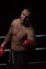 Image showing portrait of muscular professional kickboxer