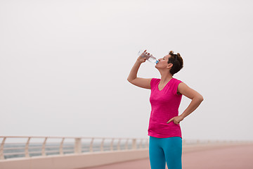 Image showing Fitness woman drinking water