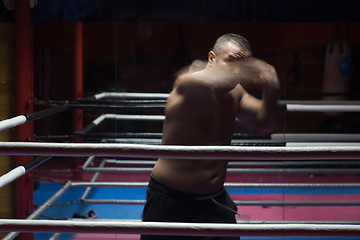 Image showing professional kickboxer in the training ring