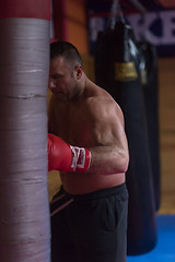 Image showing kick boxer training on a punching bag