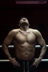 Image showing portrait of muscular professional kickboxer