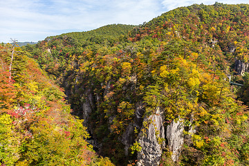 Image showing Naruko canyon with autumn foliage