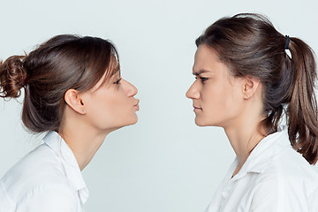 Image showing Studio portrait of female twins