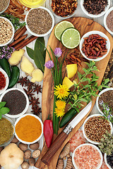 Image showing Spice and Herb Seasoning  