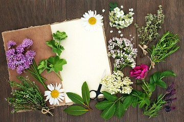 Image showing Herbs for Herbal Medicine