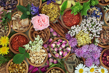 Image showing Herbal Medicine Background