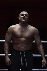 Image showing portrait of muscular professional kickboxer