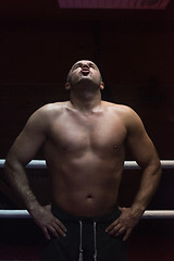 Image showing portrait of muscular professional kickboxer