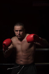 Image showing professional kickboxer in the training ring