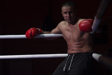 Image showing kick boxer resting on the ropes in the corner