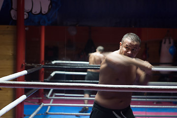 Image showing professional kickboxer in the training ring