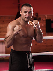 Image showing professional kickboxer in the training ring