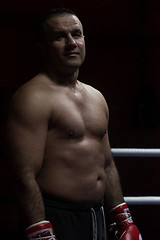 Image showing portrait of muscular professional kickboxer