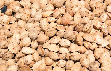 Image showing almond food background